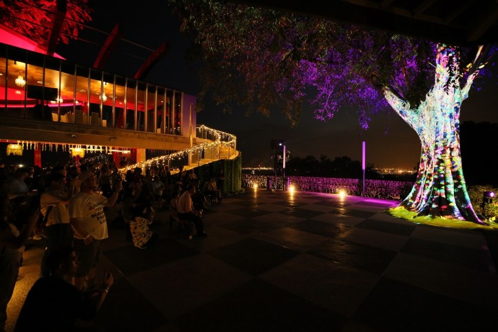 Miraculous_7.30pm, 8.30pm and 9.00pm every night.JPG