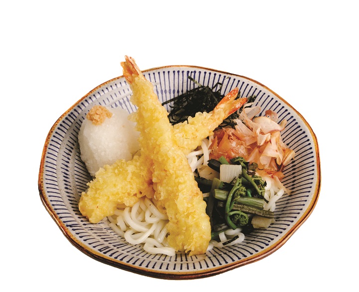 Inaniwa-Udon - Tempura Oroshi Udon
