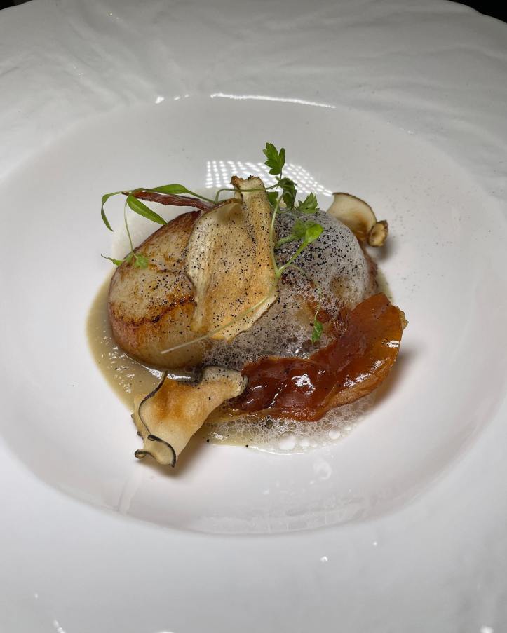 203545183_1447079328959291_7684453533987058693_n