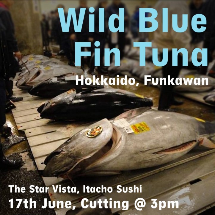 362dca17-4ee9-4ad7-a55e-6f3b0d38e6cc